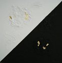 fiorani3 (3)